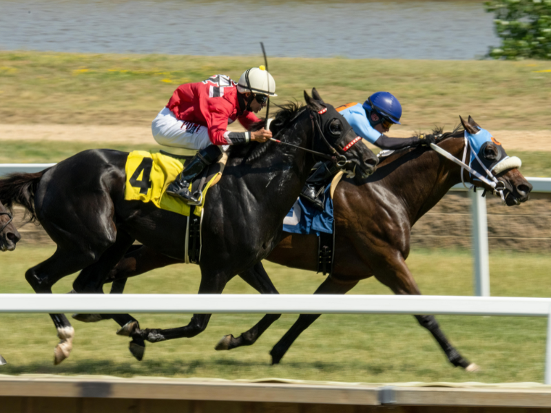 Caufield Cup