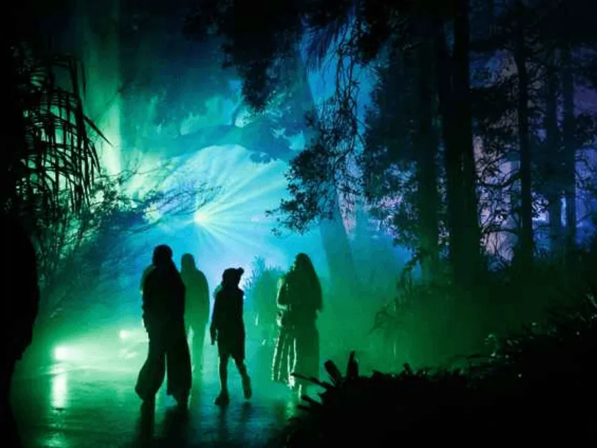 Lightscape 2025
