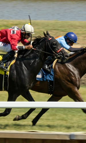 Caufield Cup