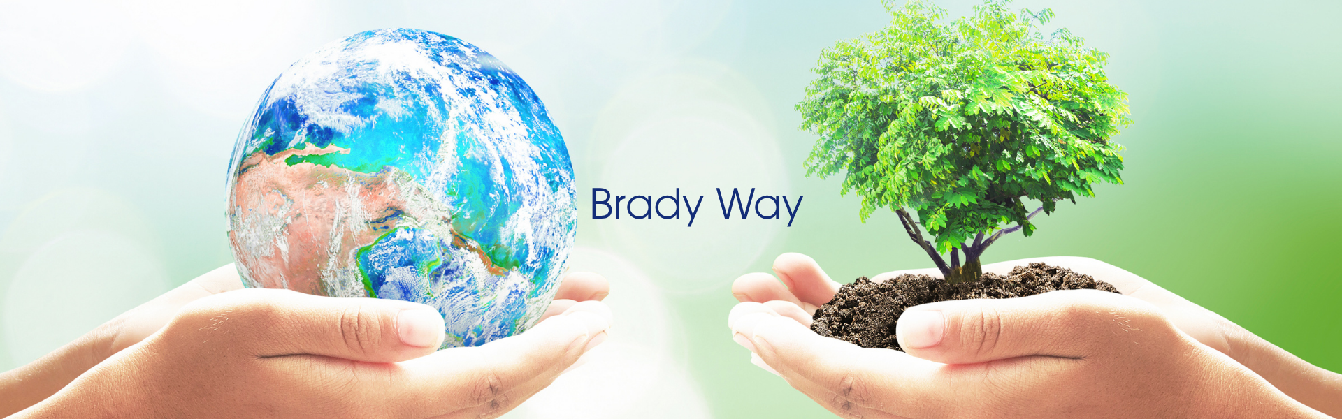 Image of two hands, one holding the earth and the other holding a tree.