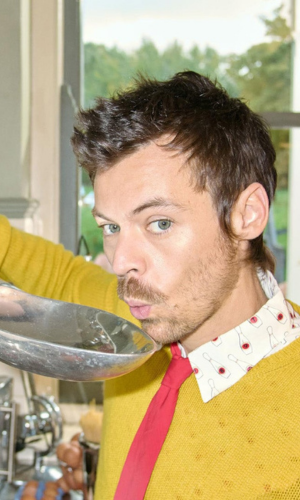 Harry Styles: Together, Together Tour