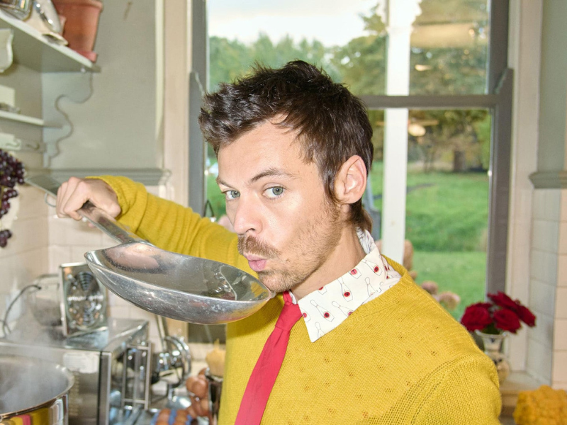 Harry Styles: Together, Together Tour