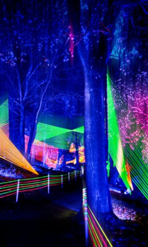 Lightscape