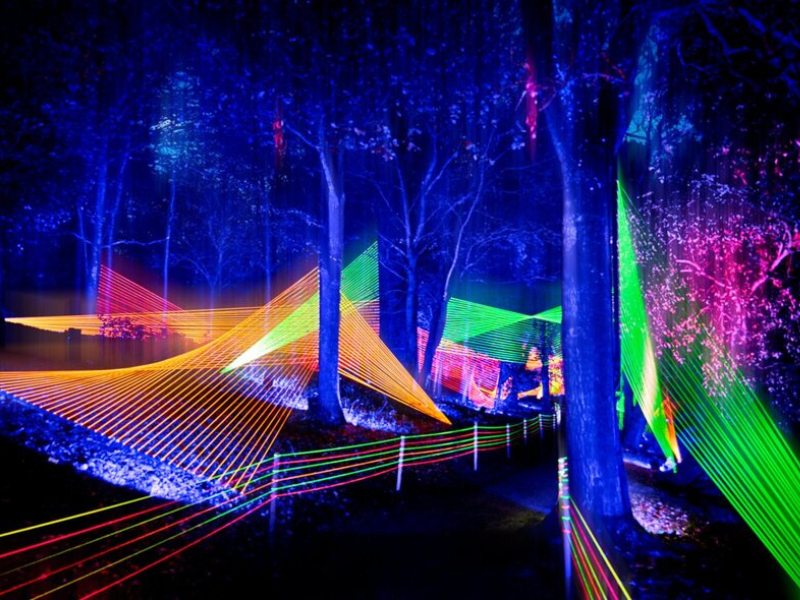 Lightscape