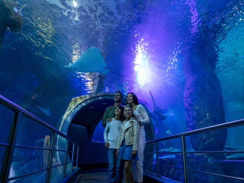 Melbourne Sea Life Aquarium